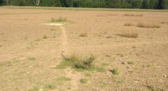 “Emuhaya” Project